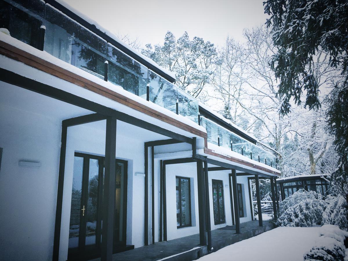 July Bamboo Hostel Deqing الغرفة الصورة